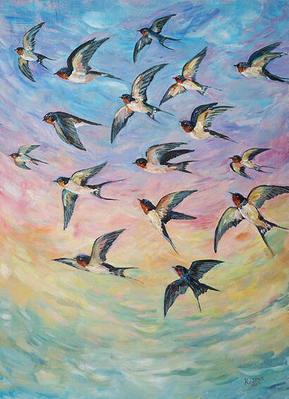 Barn Swallows